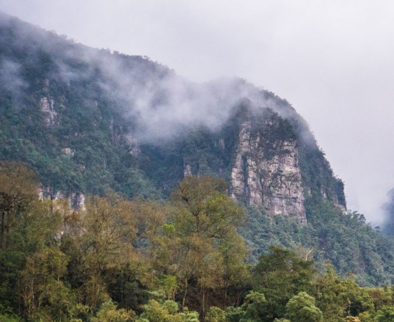 Mist over a forested mountain cliff