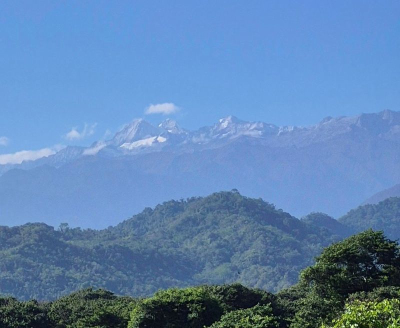 Distant mountain peaks above forest
